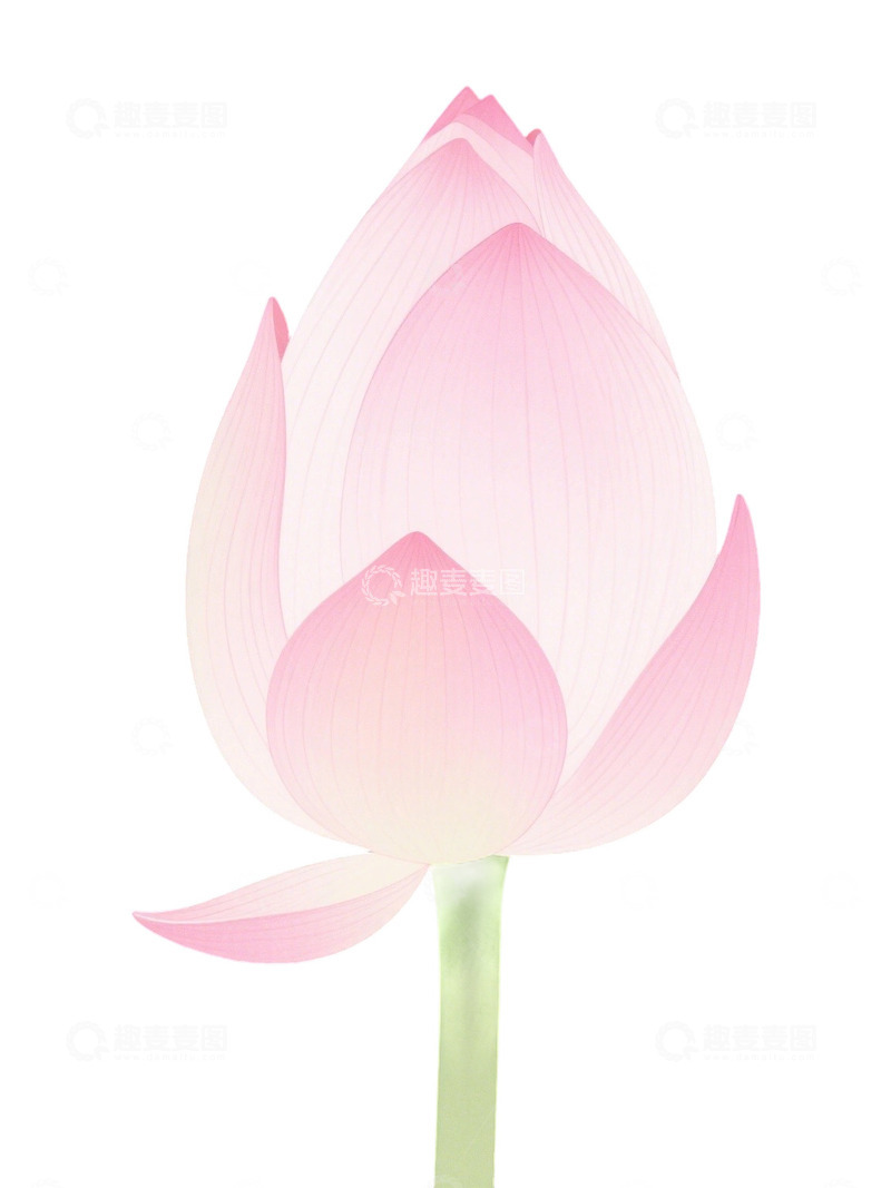 高清大图下载【趣麦麦图】荷花免扣素材218