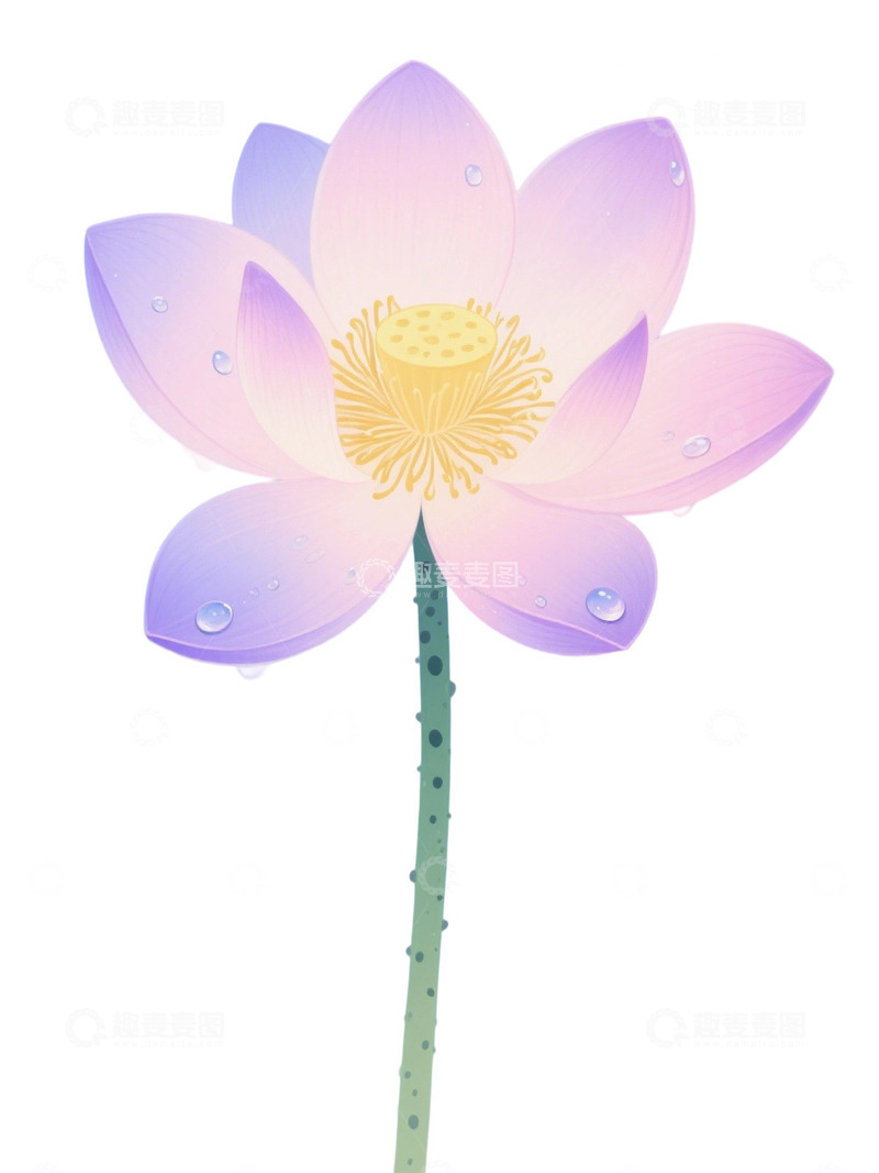 高清大图下载【趣麦麦图】荷花免扣素材265