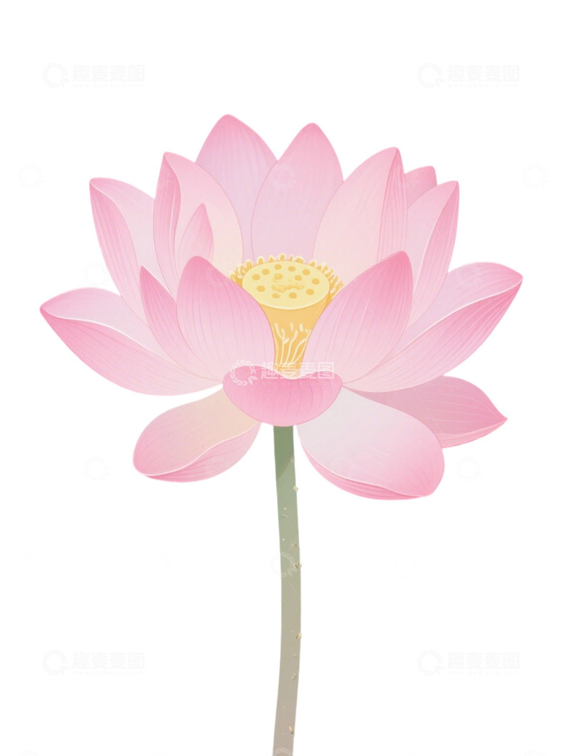 高清大图下载【趣麦麦图】荷花免扣素材337