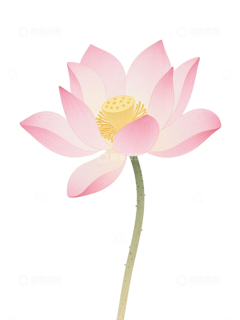 荷花免扣素材338