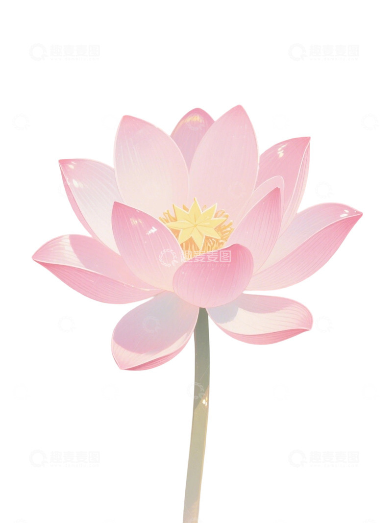 高清大图下载【趣麦麦图】荷花免扣素材330