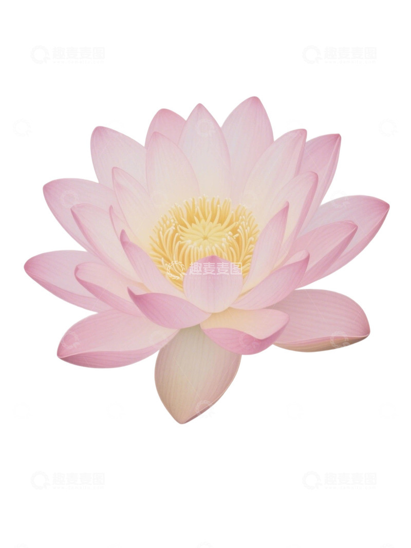 高清大图下载【趣麦麦图】荷花免扣素材334