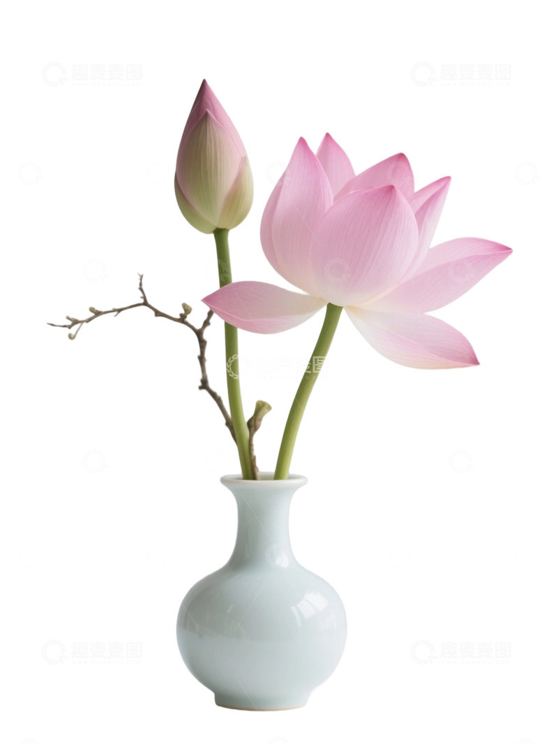 荷花免扣素材667