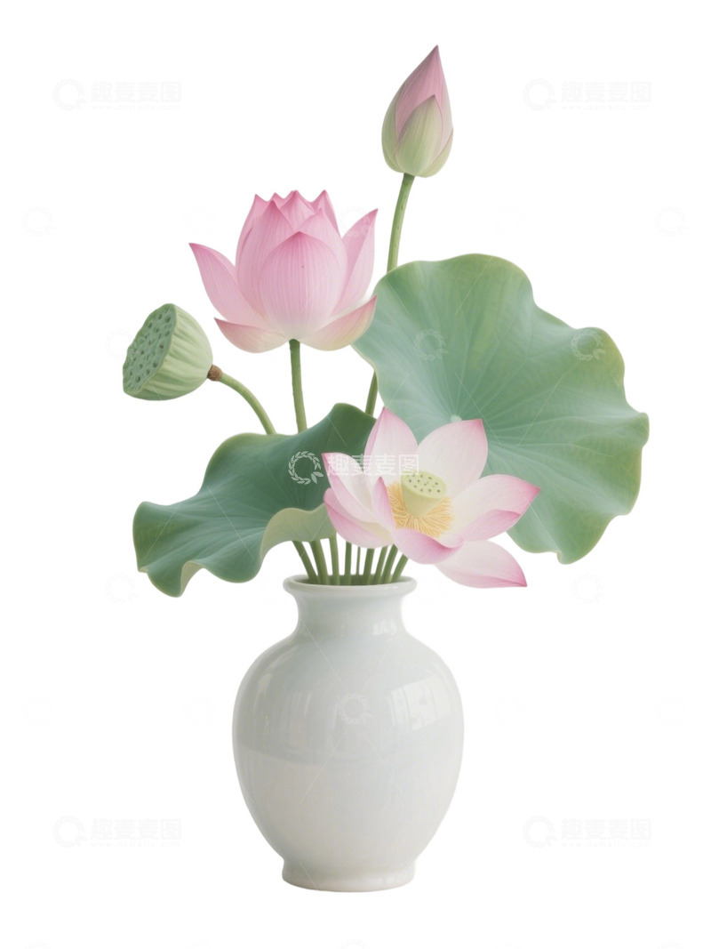 荷花免扣素材655