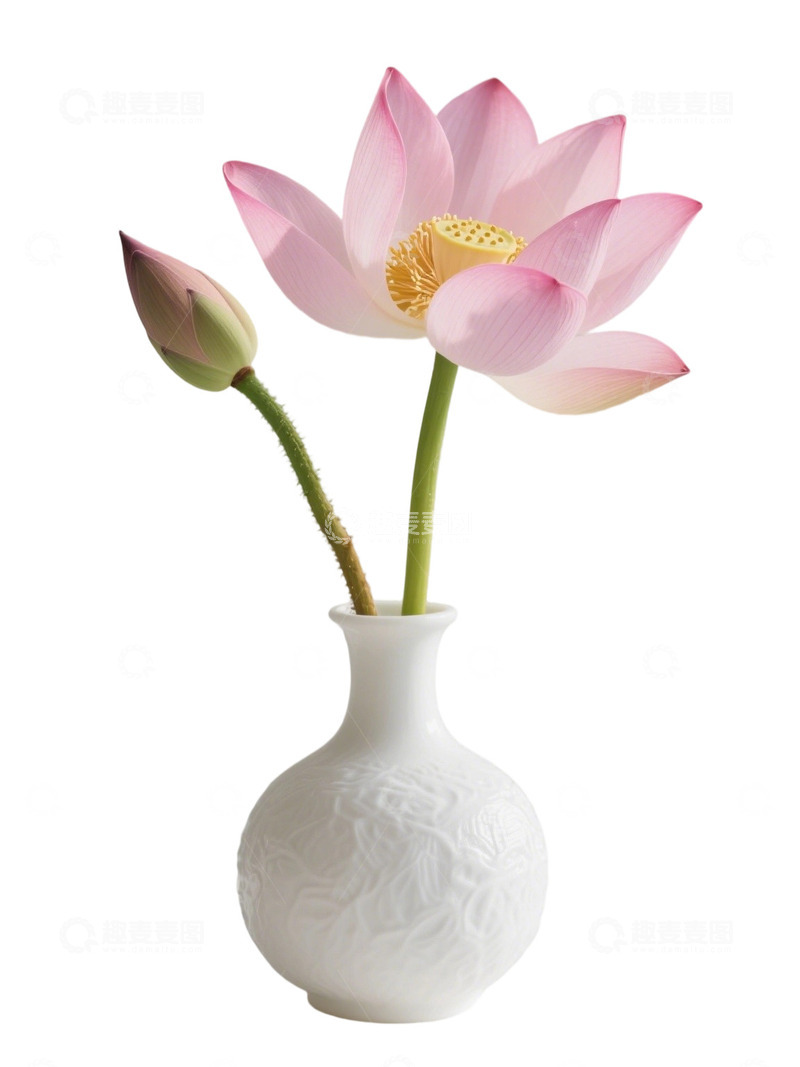 高清大图下载【趣麦麦图】荷花免扣素材652