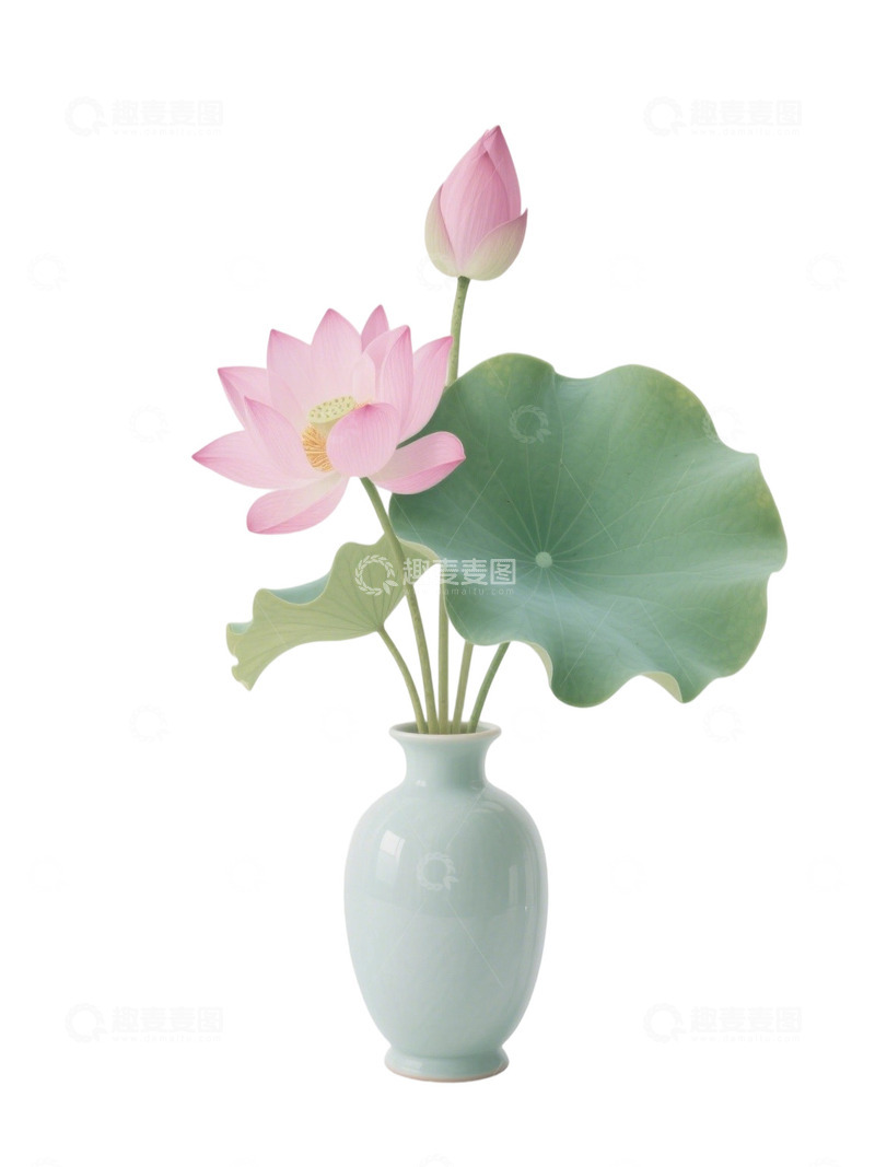 高清大图下载【趣麦麦图】荷花免扣素材721
