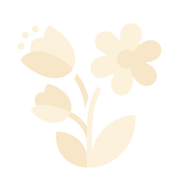 扁平花朵的色彩植物1