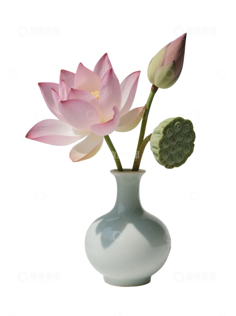 荷花免扣素材693