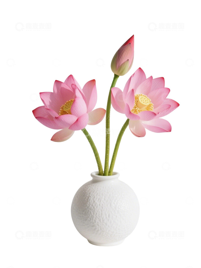 高清大图下载【趣麦麦图】荷花免扣素材741