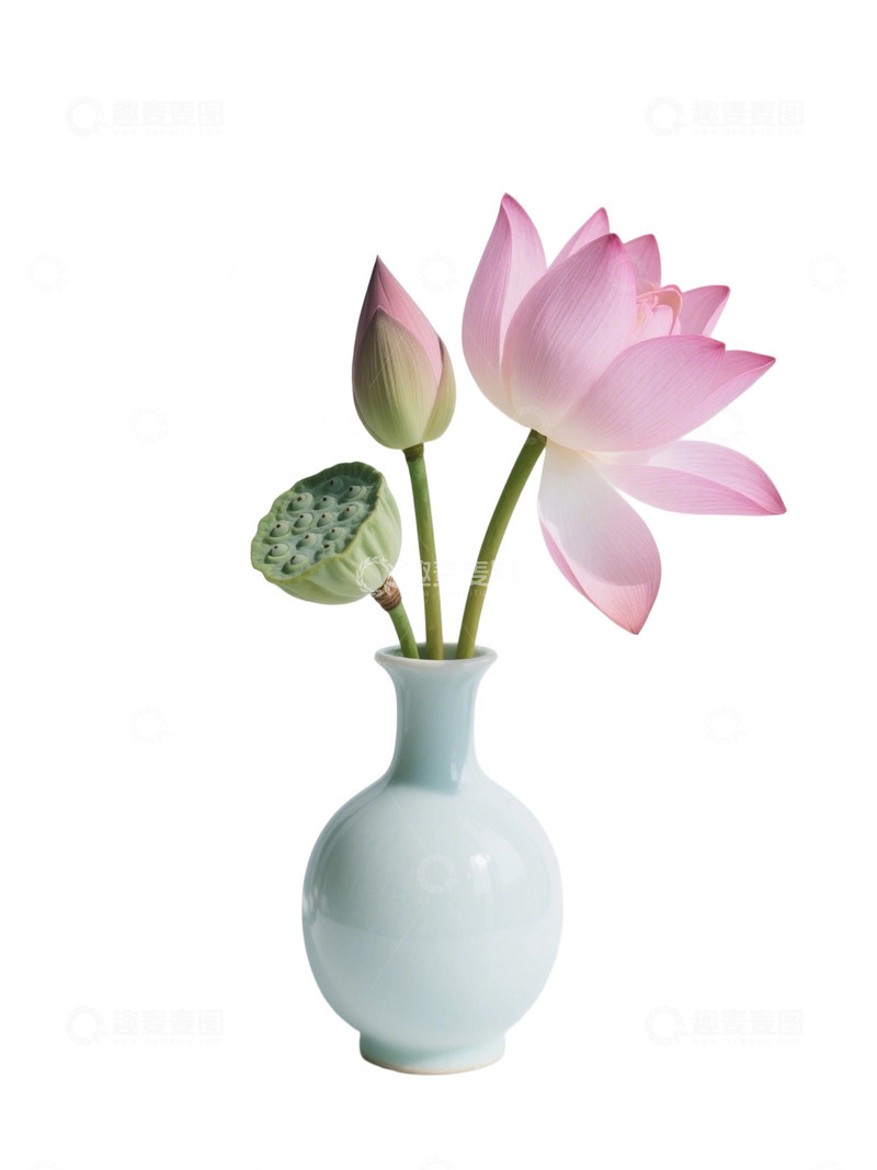 高清大图下载【趣麦麦图】荷花免扣素材692