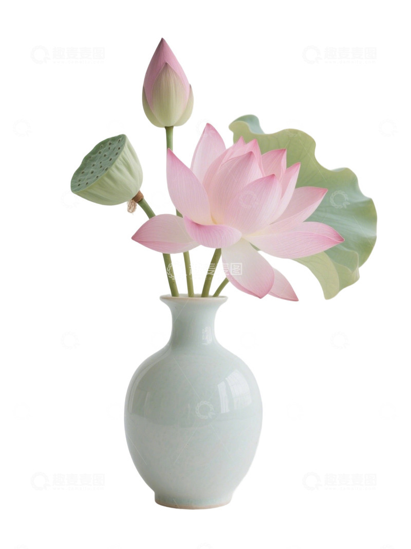 荷花免扣素材719