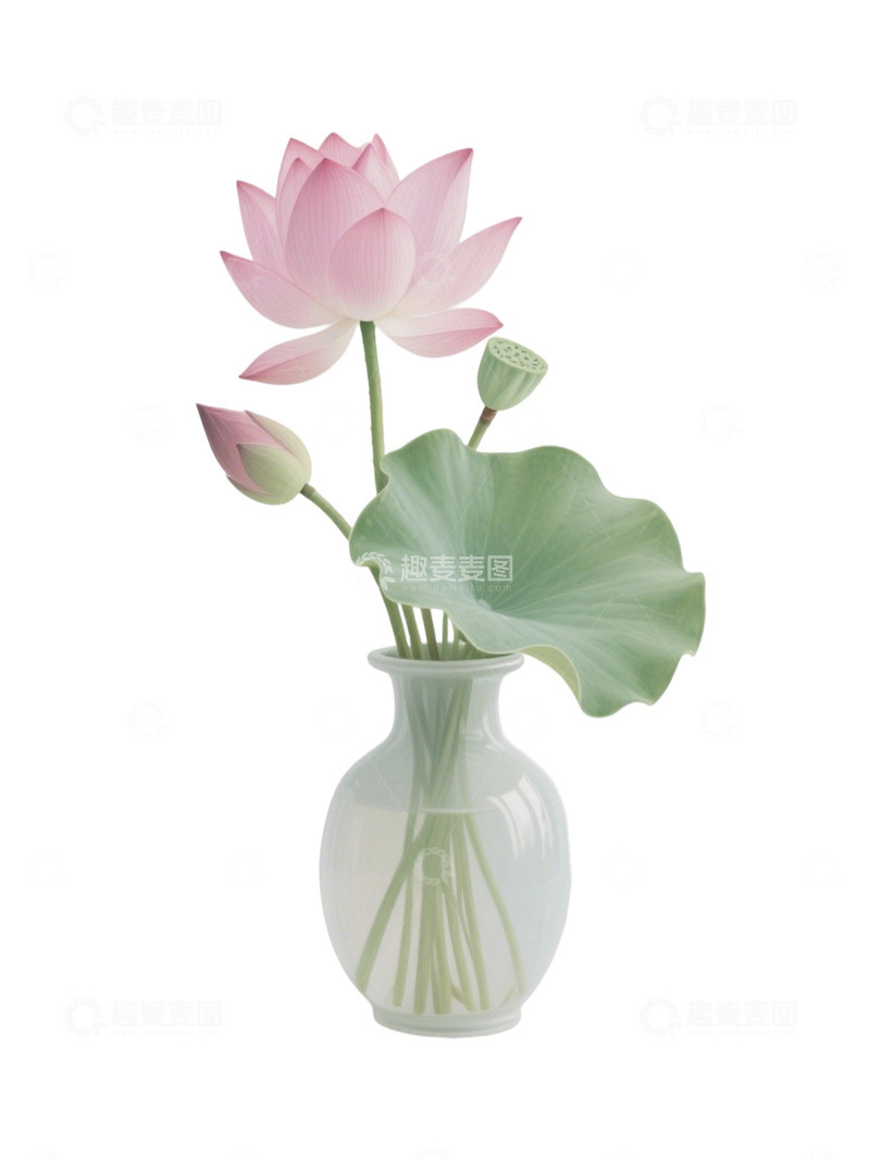 高清大图下载【趣麦麦图】荷花免扣素材713