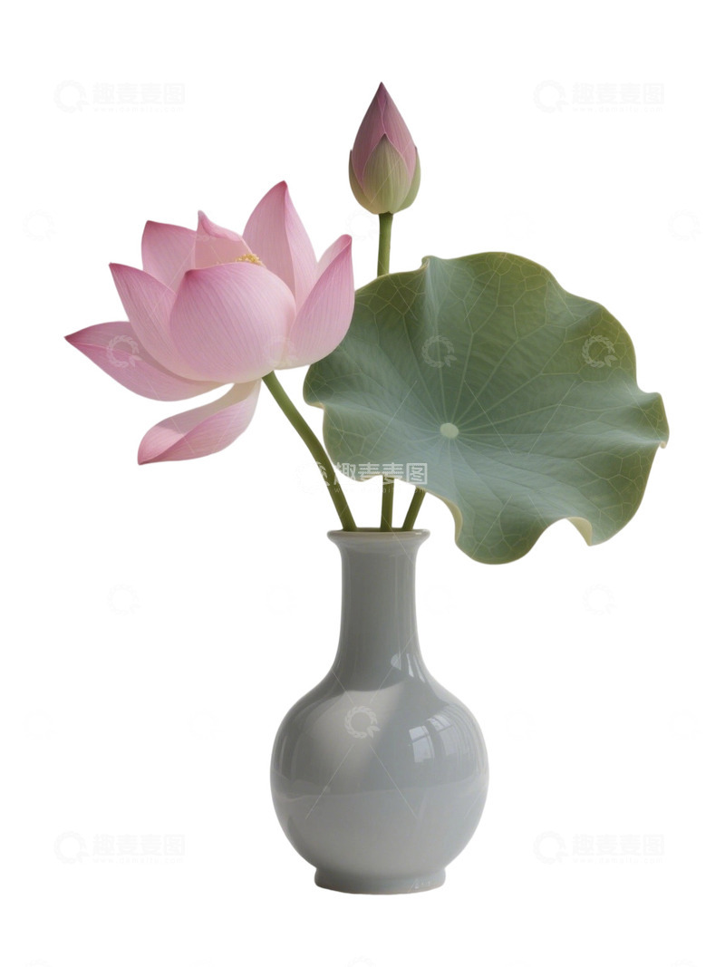 荷花免扣素材753