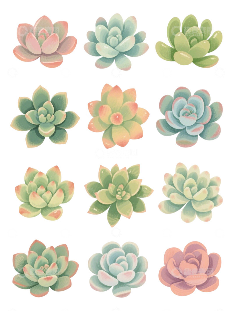 高清大图下载【趣麦麦图】多肉植物免扣素材107