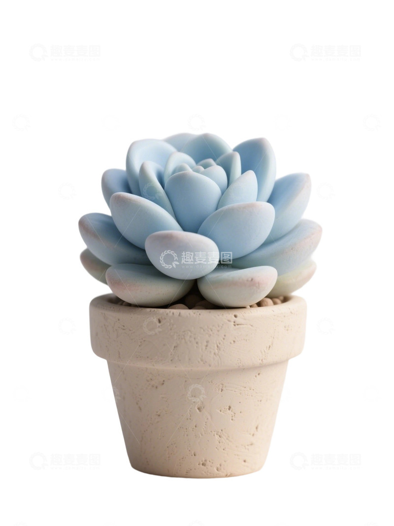 高清大图下载【趣麦麦图】多肉植物免扣素材31