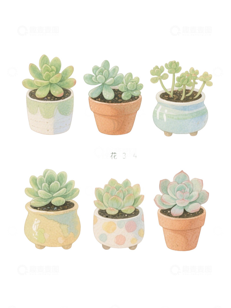 高清大图下载【趣麦麦图】多肉植物免扣素材61