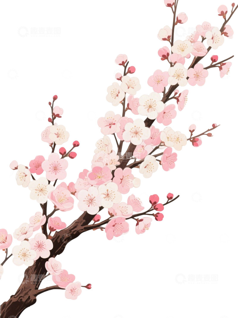 高清大图下载【趣麦麦图】梅花免扣素材19