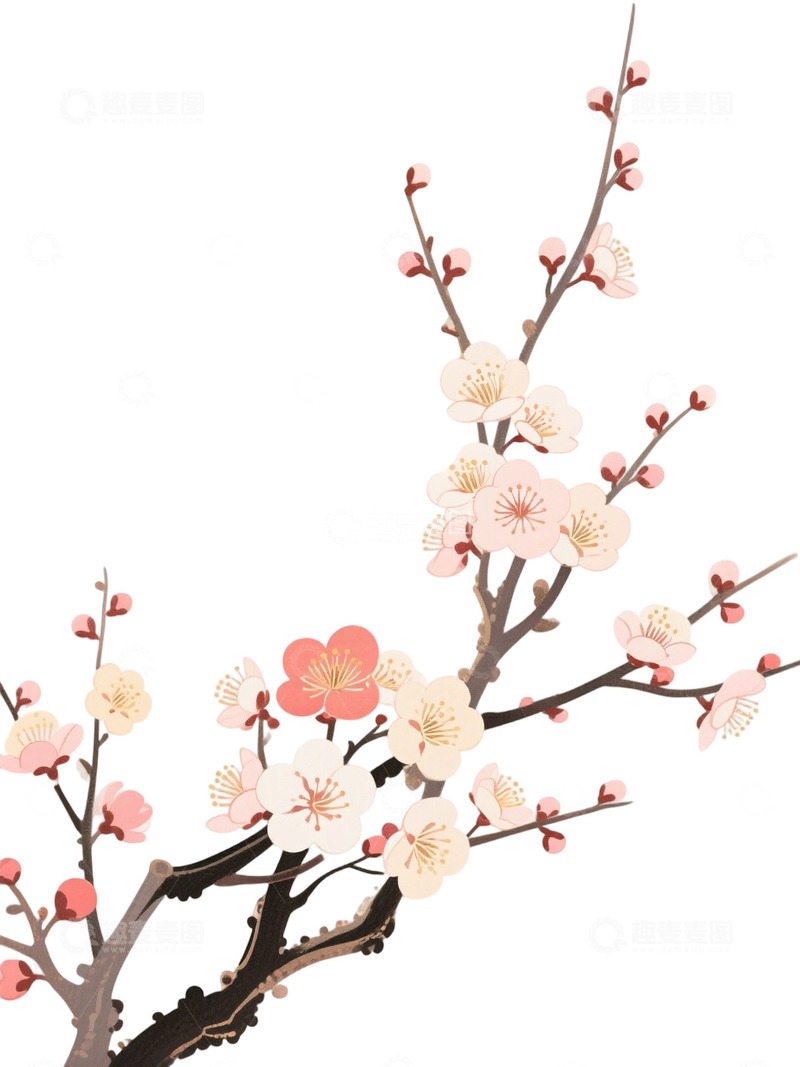 高清大图下载【趣麦麦图】梅花免扣素材26