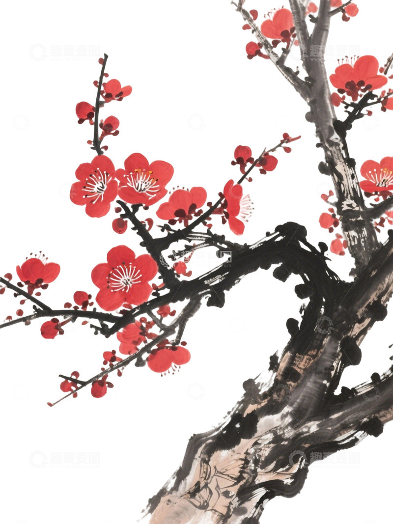 高清大图下载【趣麦麦图】梅花免扣素材38