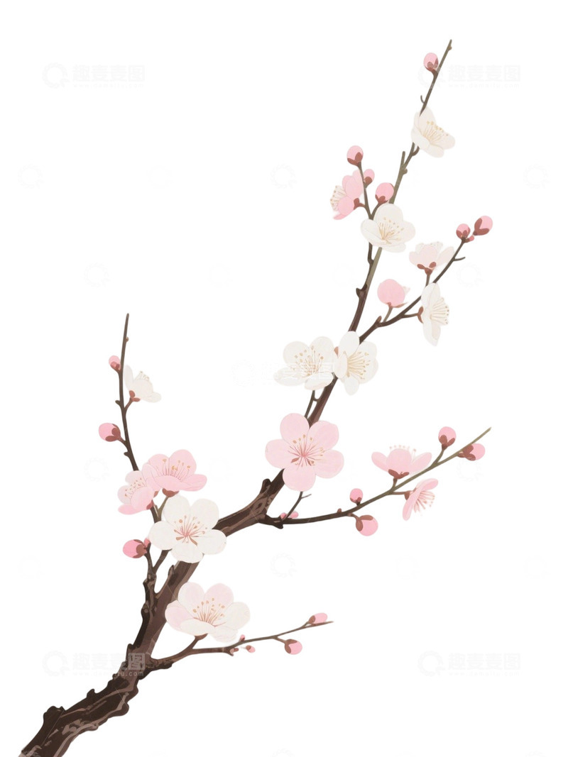 高清大图下载【趣麦麦图】梅花免扣素材29