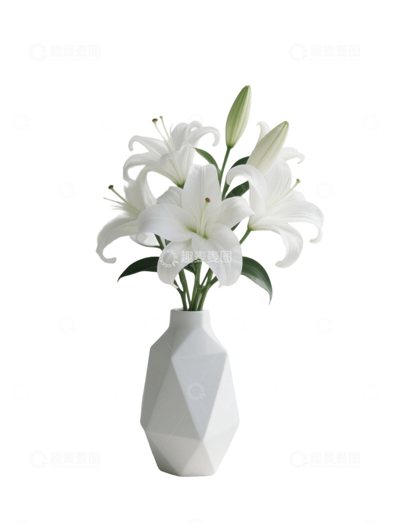 高清大图下载【趣麦麦图】百合花瓶免扣素材21