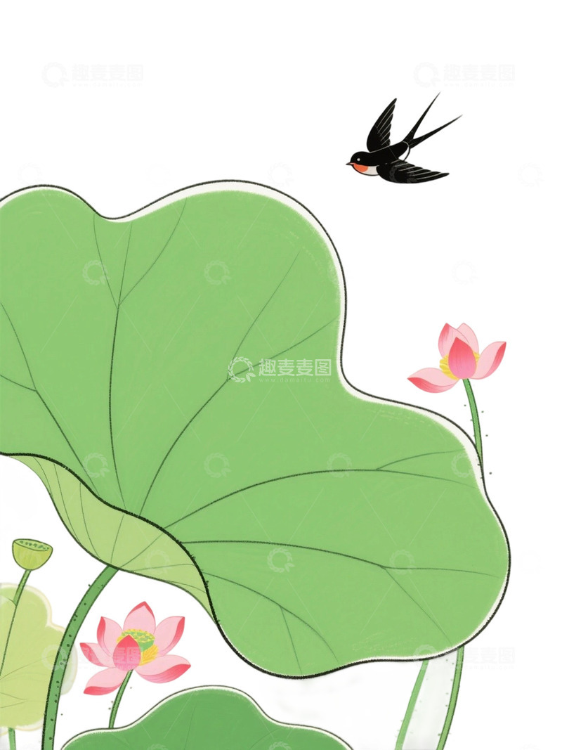 荷花免扣素材951