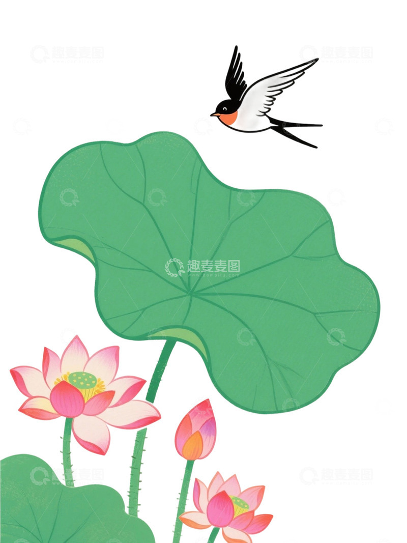 高清大图下载【趣麦麦图】荷花免扣素材967