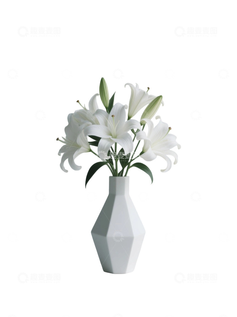 高清大图下载【趣麦麦图】百合花瓶免扣素材24