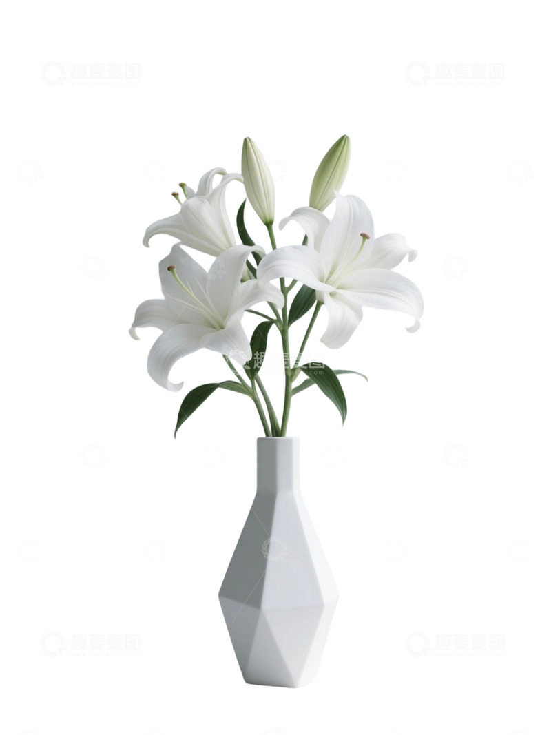 高清大图下载【趣麦麦图】百合花瓶免扣素材25