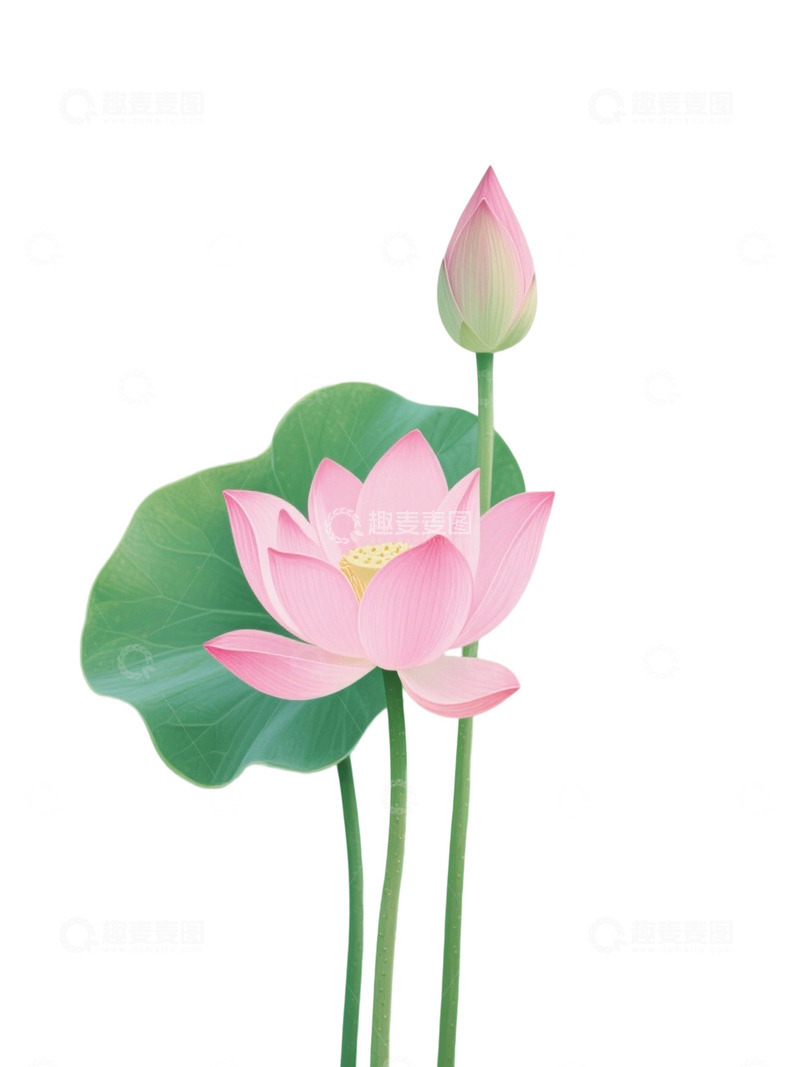 荷花免扣素材1404