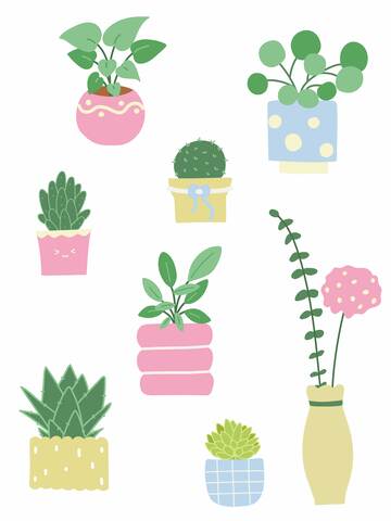 卡通简约花盆盆栽合集矢量插画扁平风插画
