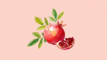 石榴  麻舌  粒感  