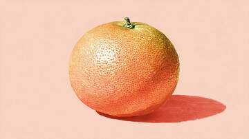 柚子  细腻  水润 