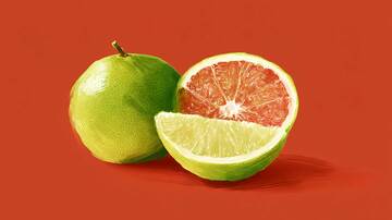 柚子  清甜  醇厚  