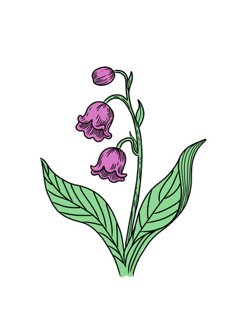 手绘一株铃兰花