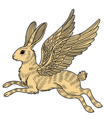 一只奔跑的神兔