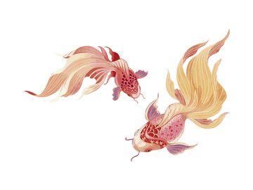 元旦春节新年锦鲤金鱼鲤鱼鱼类