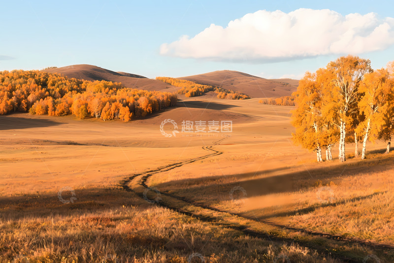 高清大图下载【趣麦麦图】秋季草原山丘树林风景商业照片