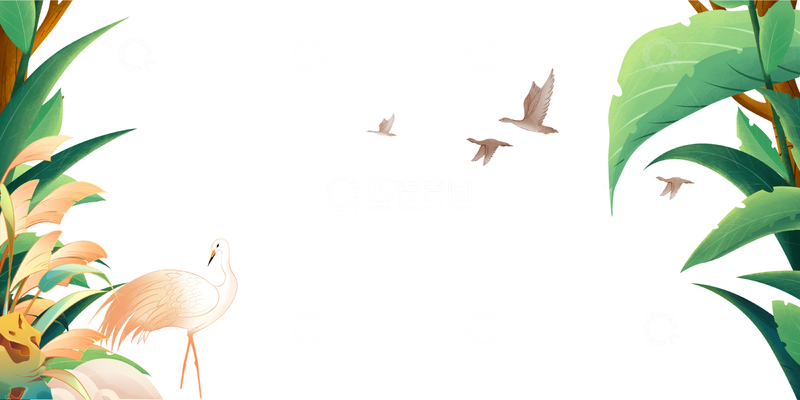 源文件下载【趣麦麦图】白露节气芦花芦苇丛绿叶野鸭大雁