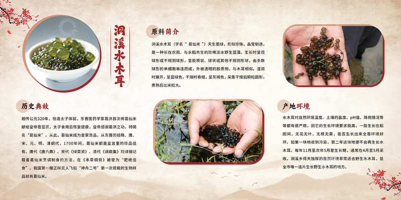 葛仙米美食海报背景板