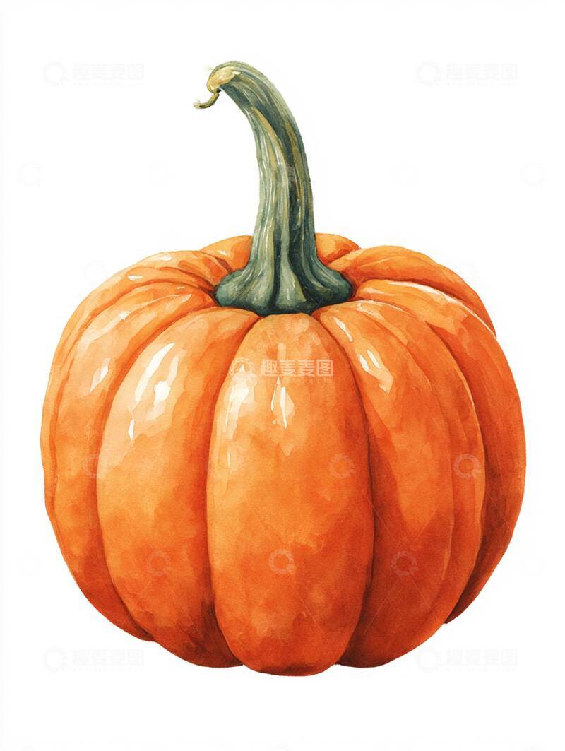 高清大图下载【趣麦麦图】南瓜  油糯  香绵