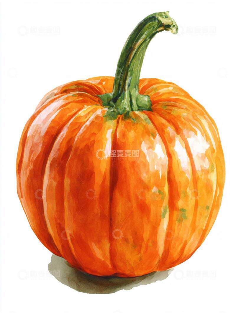 高清大图下载【趣麦麦图】南瓜  油润  甜润