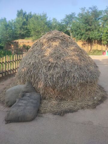 《乡村草垛：田园里的质朴风景》