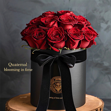 一速红色的玫瑰花