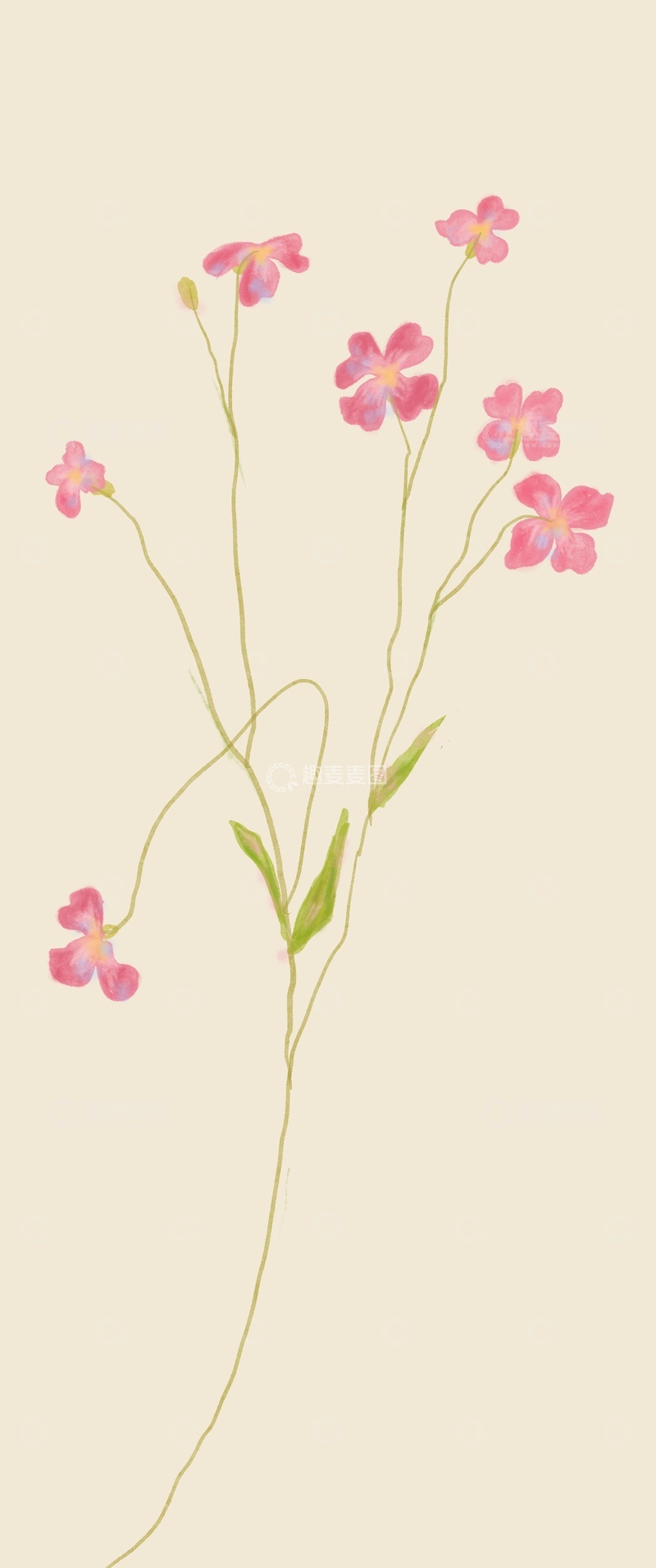 原创治愈插画作品素材小花