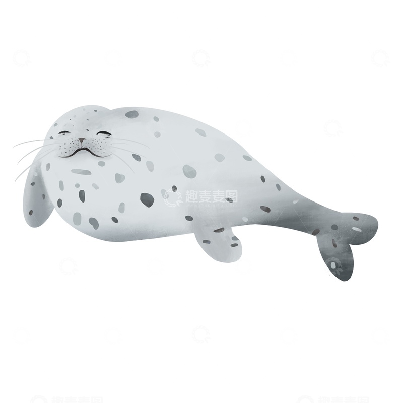 原创治愈插画作品素材海豚