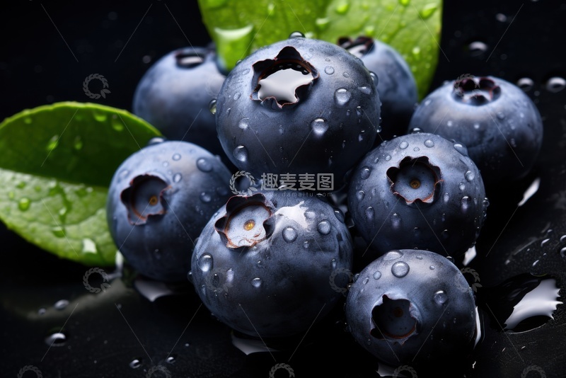 高清大图下载【趣麦麦图】蓝莓特写食物