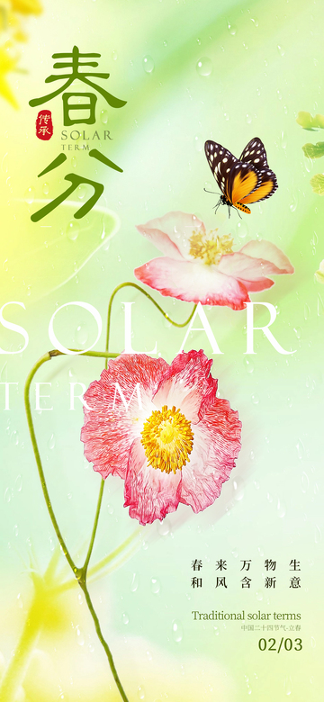 春分二十四节气 海报