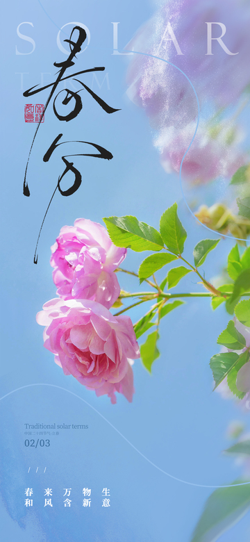 春分二十四节气 海报