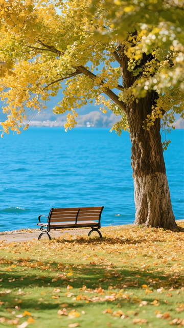 秋天水边的银杏树7